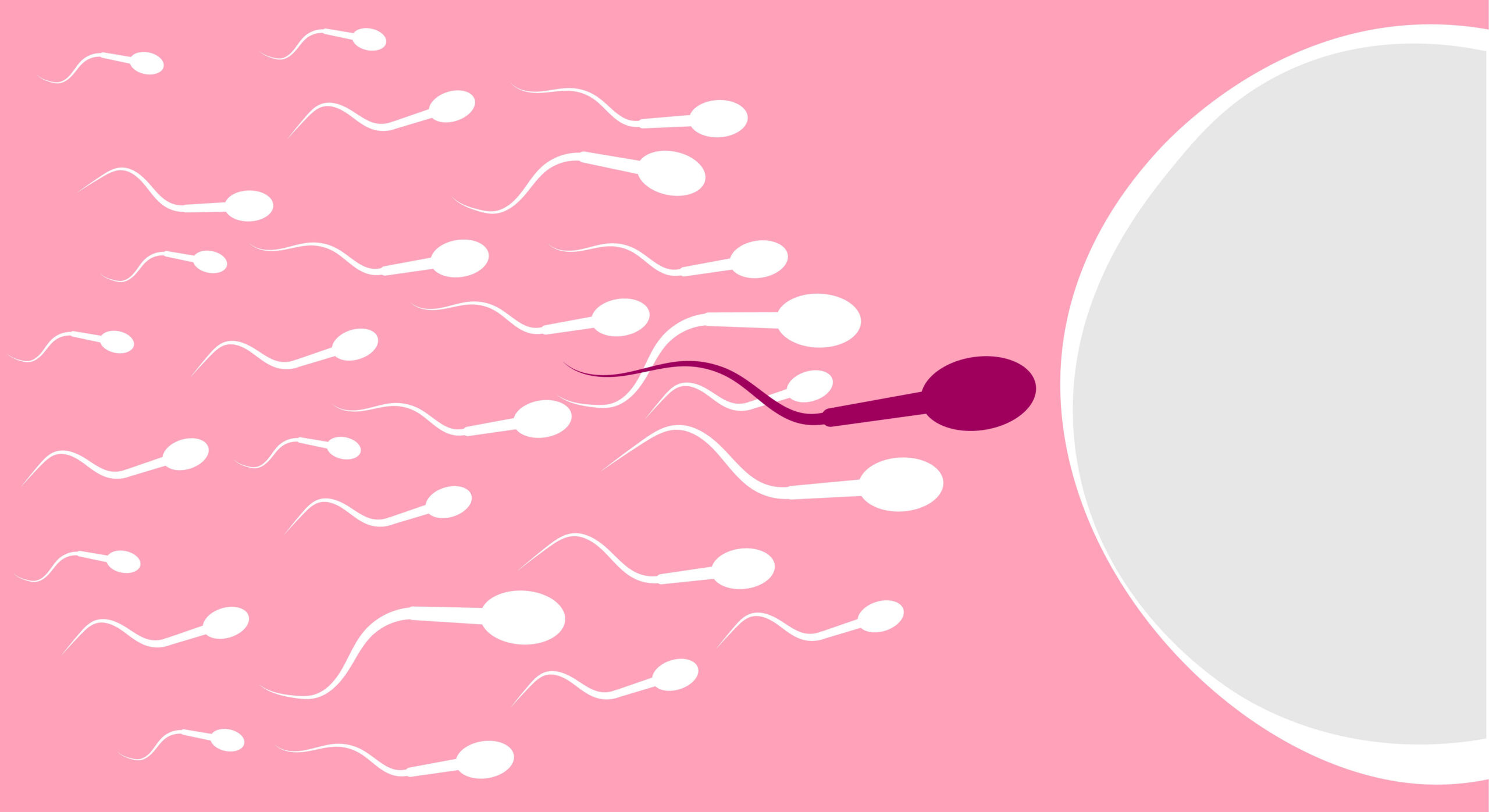 Is Infertility Genetic? Exploring the Role of Genetics in Reproductive Challenges
