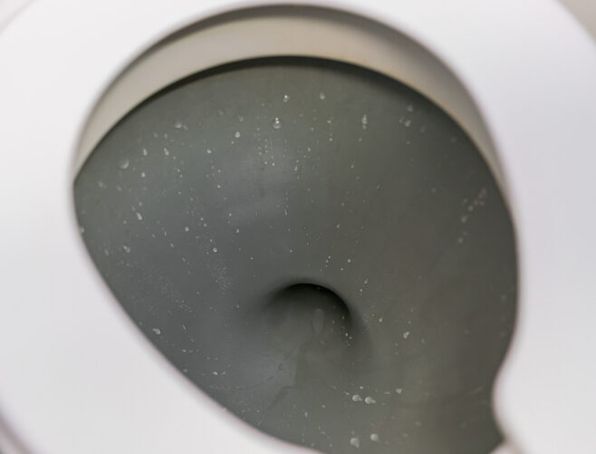 Exploring the Link Between Moldy Toilets and Diabetes: Fact or Fiction?